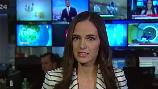 Zpravodajský servis