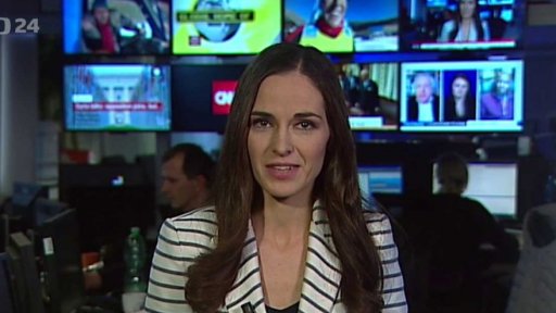 Zpravodajský servis