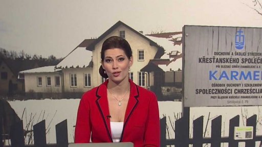 Zpravodajský servis