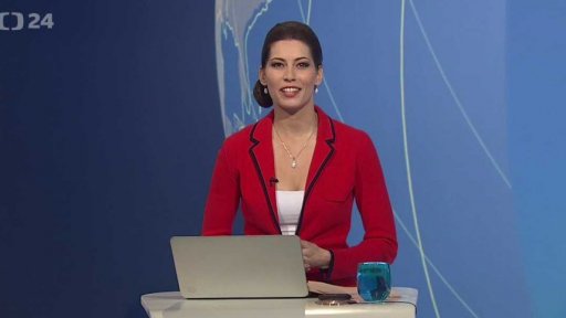 Zpravodajský servis