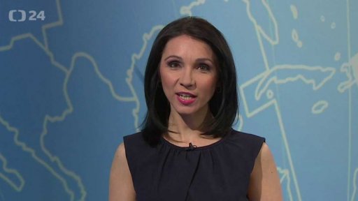 Zpravodajský servis