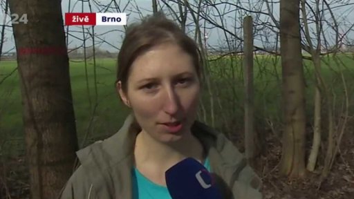 Čištění Holáseckých jezer