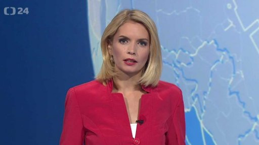 Zpravodajský servis