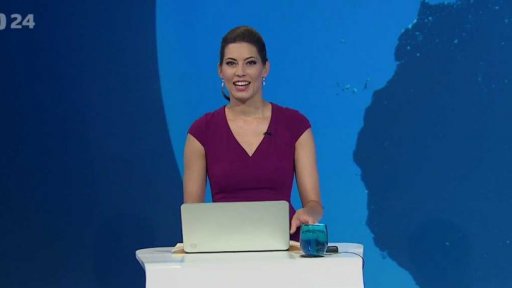 Zpravodajský servis