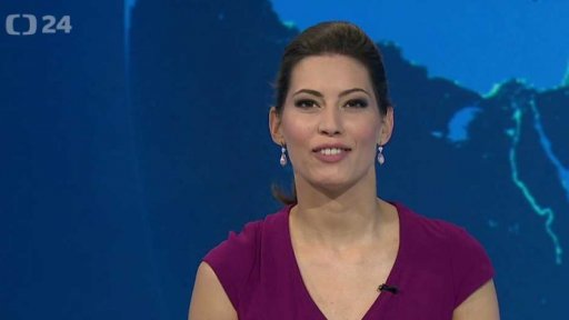 Zpravodajský servis