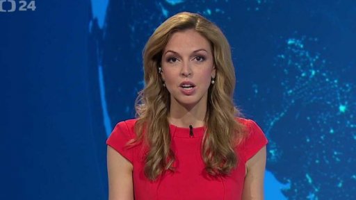 Zpravodajský servis