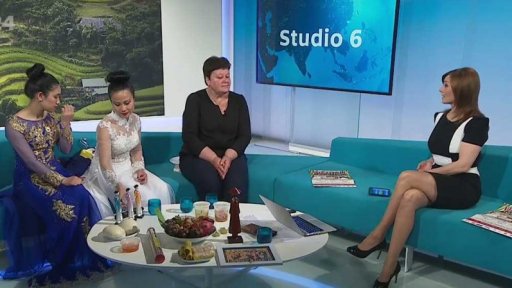 Vietnam vzdálený a blízký