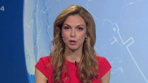 Zpravodajský servis