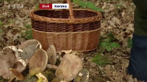 Sezona hub začíná