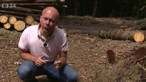 Kůrovcové kalamity v Česku