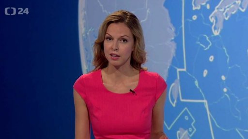 Zpravodajský servis