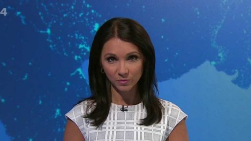 Zpravodajský servis