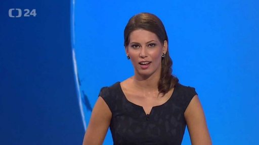 Zpravodajský servis