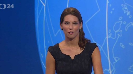 Zpravodajský servis