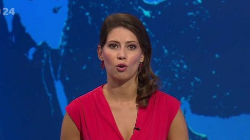 Zpravodajský servis