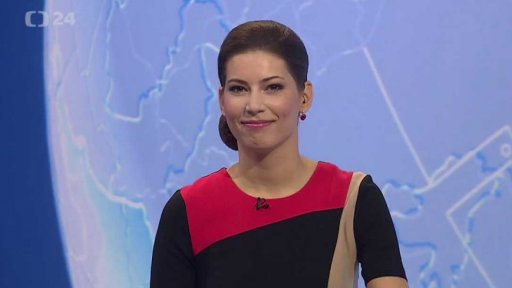 Zpravodajský servis