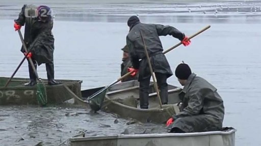 Výlov největšího rybníka v MS kraji