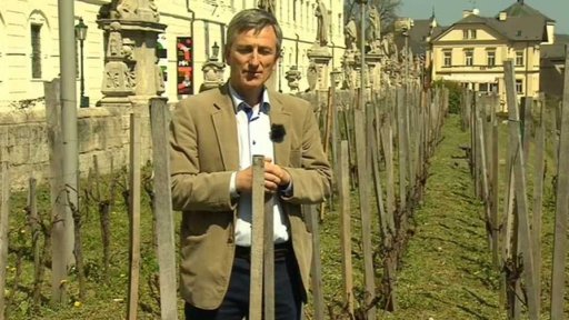 Souboj o podobu zdejšího vinařství