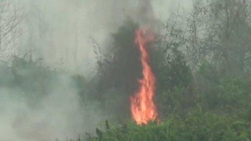 Požáry pralesů v Indonésii + rozhovor s M. Zrůstem