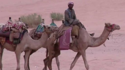 Jeruzalémská výstava o Aloisi Musilovi