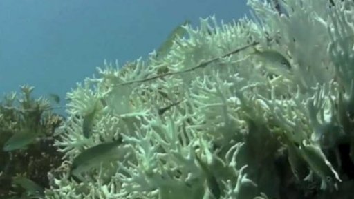 Oceány se stále víc oteplují + rozhovor s I. Horáčkem