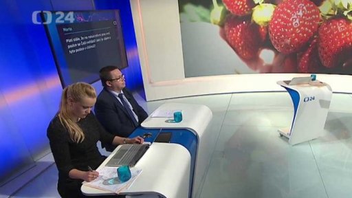 Pracovní trh v Česku - Cizinci pracující v česku - Hyde park