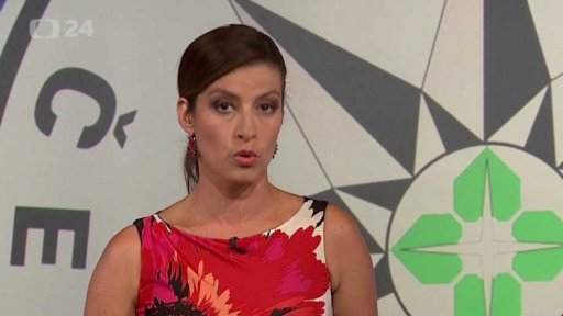 Koalice o reformě policie - úvod