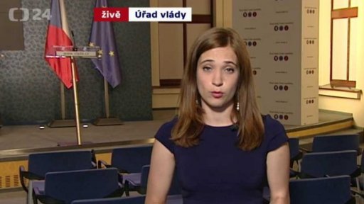 Koalice o reformě policie