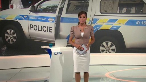 Vláda o reorganizaci policie - úvod