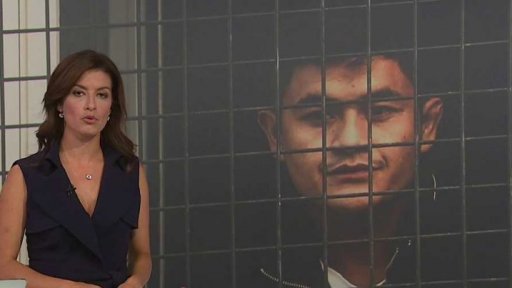 Počty cizinců vyhoštěných z ČR