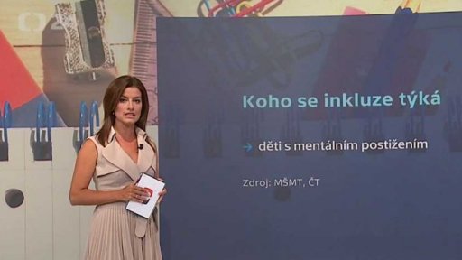 Inkluze v českých školách - Koho se inkluze týká