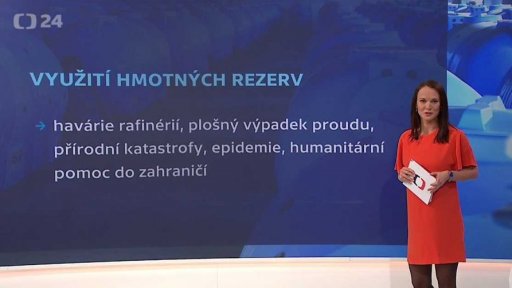 Česko a jeho hmotné rezervy - Využití hmotných rezerv
