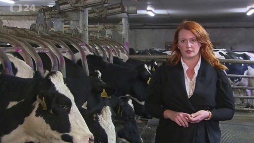 Výkupní ceny mléka opět klesly