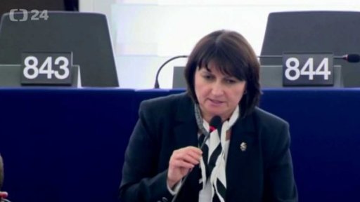 Vztahy s Tureckem očima europoslanců ČR