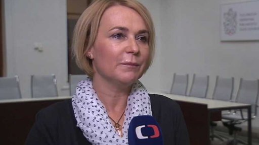 Fungování bezpečnostních agentur