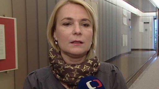 Dohled nad bezpečnostními službami