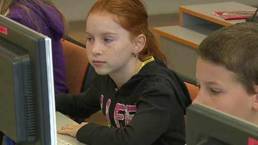 Hoaxy a sociální bubliny na FB