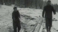 Svážení dřeva na Oravě (1960)