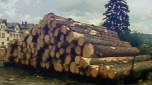 Výroba štaflí (1983)