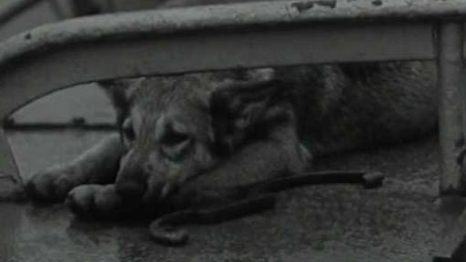 Lodní vrak na Vltavě (1967)