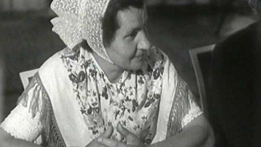 Prezident přijal vládní delegaci NDR (1956)