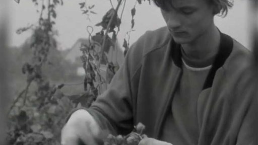 Chmelnice JZD Blšany (1976)