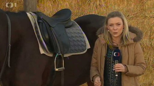 Týden sportu zdarma