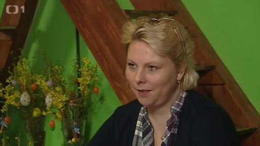 Sociální pojištění