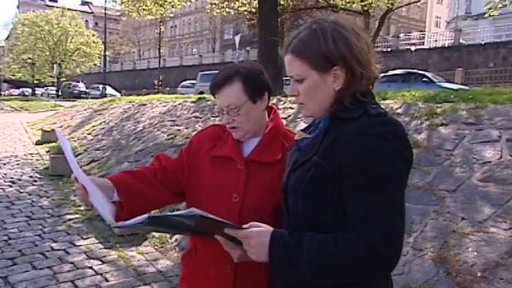 Pojištění storna II