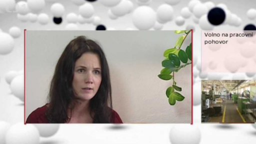 Volno na pracovní pohovor