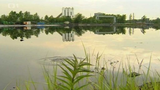 Litvínovské kalení