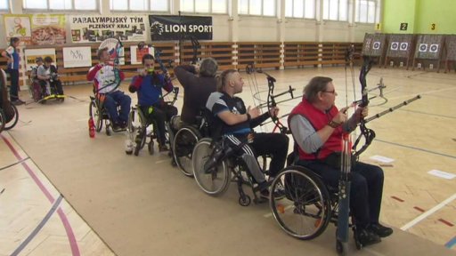 Halová paralukostřelba