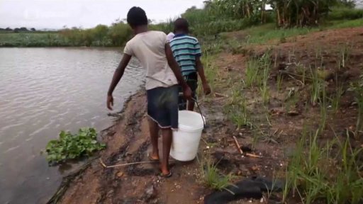 Veslaři pomáhají zlepšovat kvalitu vody