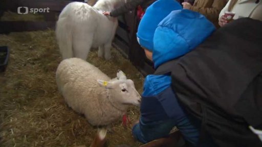 Předvánoční procházka s vodními slalomáři